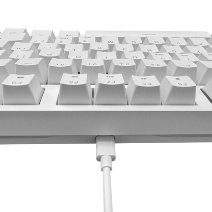 Keybongo KB87 Wireless 80% TKL Mechanical Keyboard - White