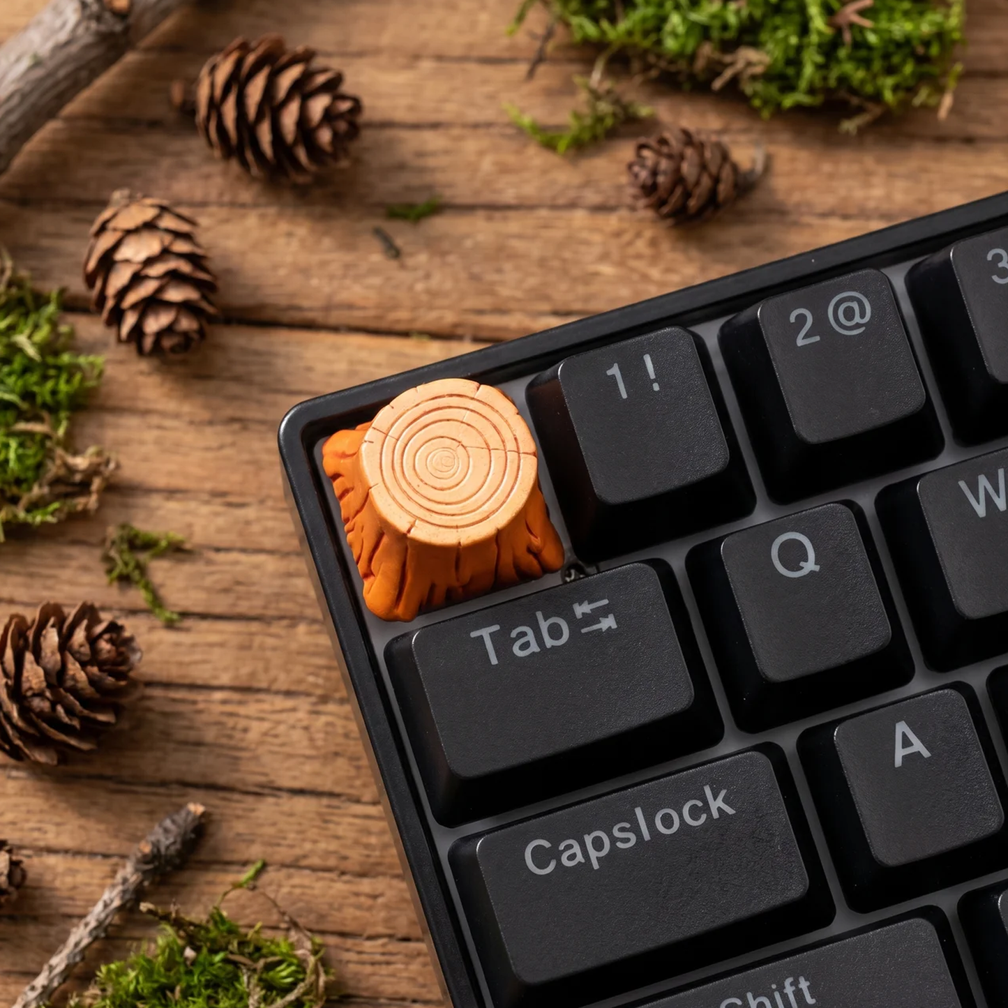 Tree Stump Keycaps